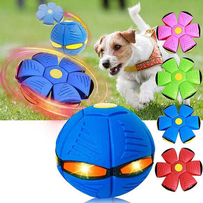 Pet Magic Flying Saucer Ball