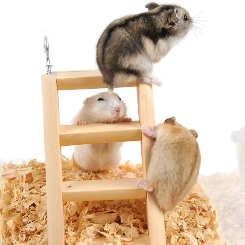 Natural Wooden House Hamster Climbing Toy