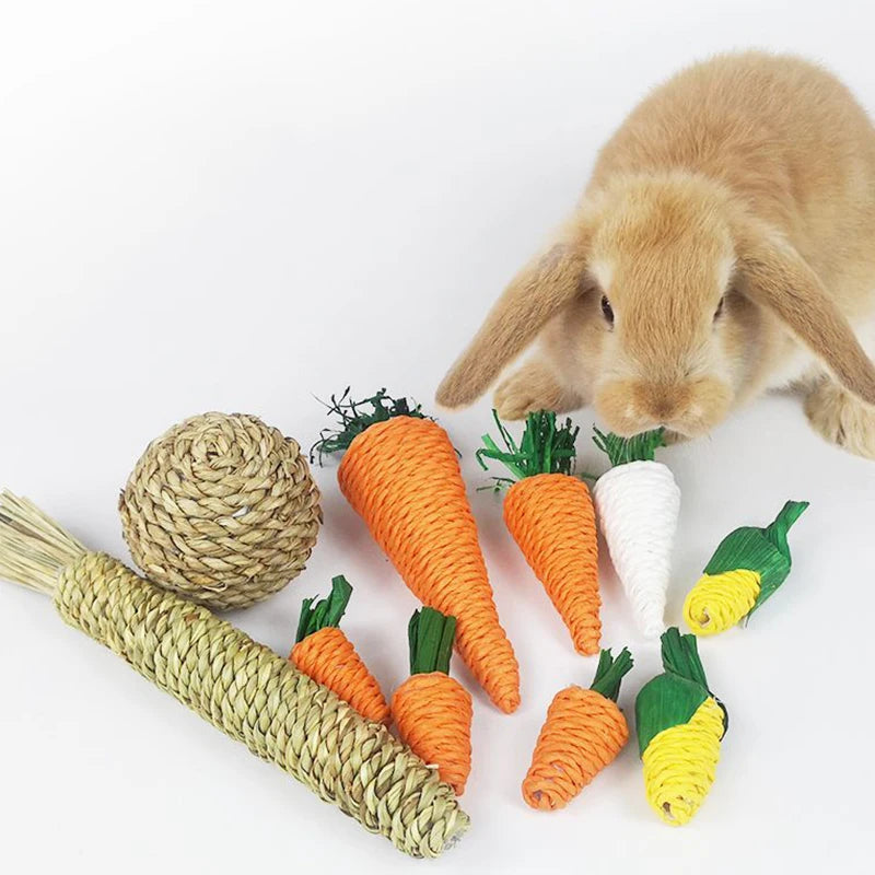 Hamster Rabbit Chew Toy Set
