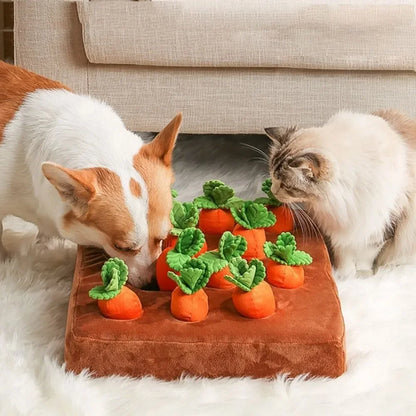 Carrot Snuffle Mat for Pet