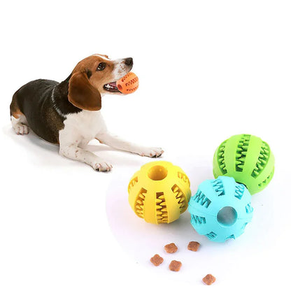 Dog Ball Toys for Small Dogs