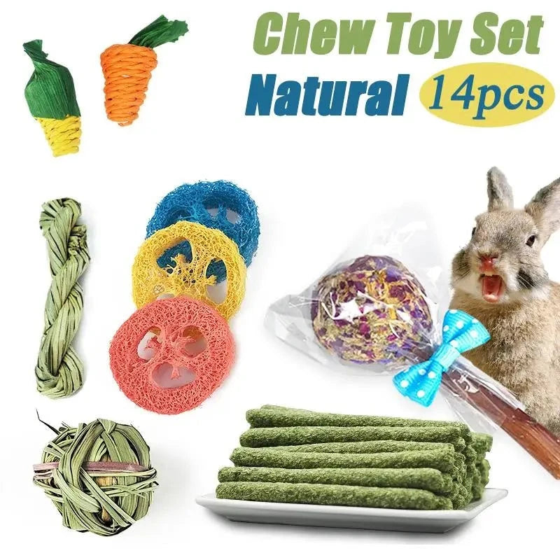 Rabbit Chew Toy Set