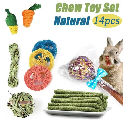 Rabbit Chew Toy Set