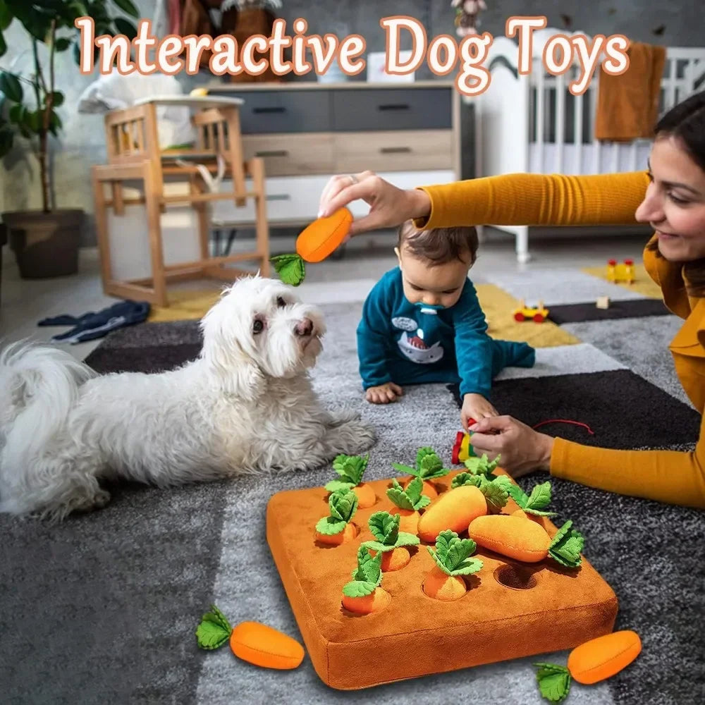 Carrot Snuffle Mat for Pet