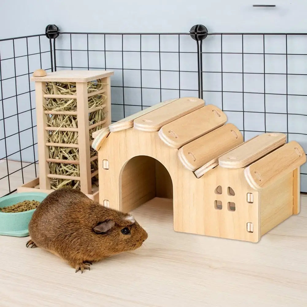 Sturdy Dwarf Hamsters House