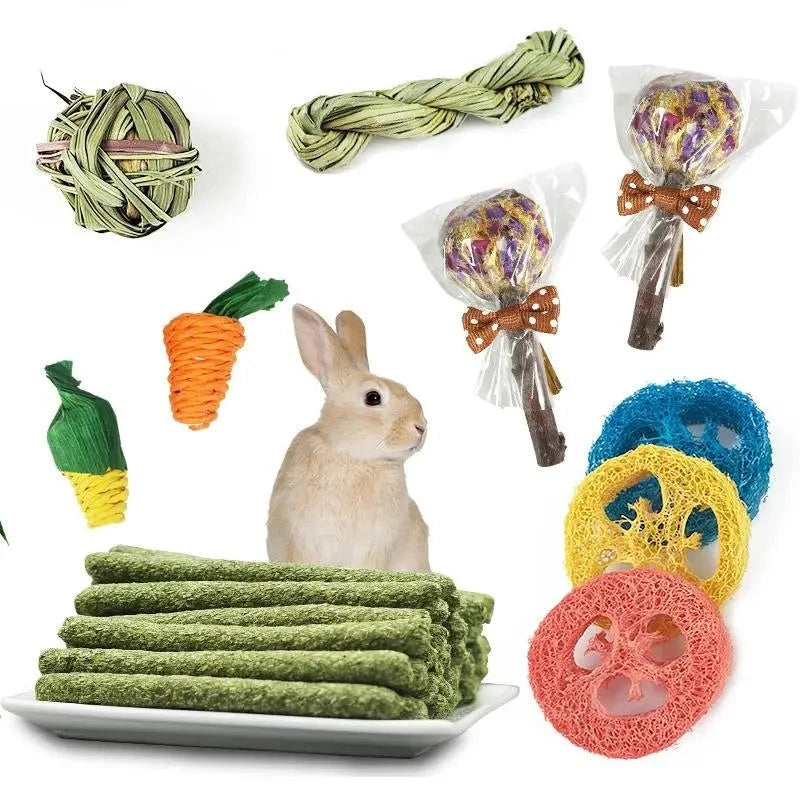 Rabbit Chew Toy Set