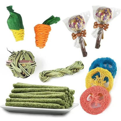 Rabbit Chew Toy Set