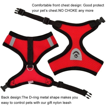 Adjustable Mesh Harness and Leash Set